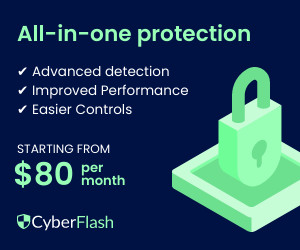 Cyber Flash Antivirus Protection