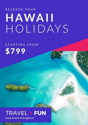 Hawaii Holidays Travel Poster